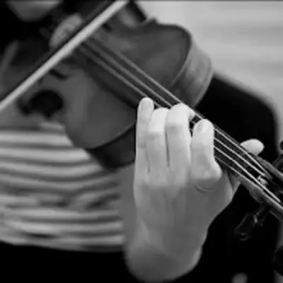 Golden Fiddles Violin Studio