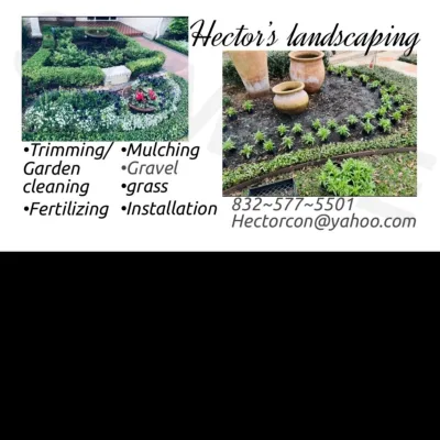 Hector Landscaping