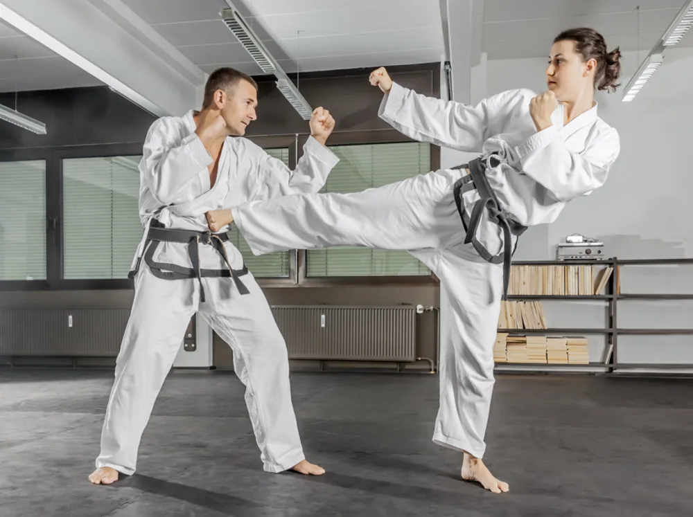 Wheatons Martial Arts Academy