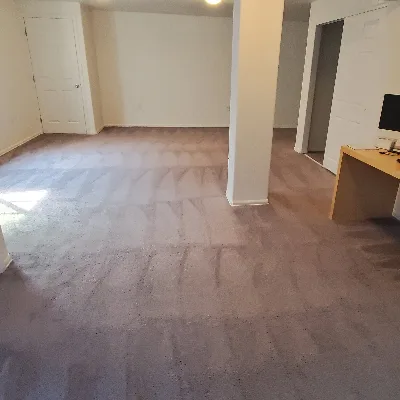 Tailor Maid Carpet Cleaning LLC