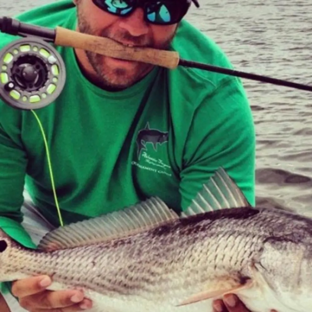 Light Tackle Adventures Tampa Fishing Charters