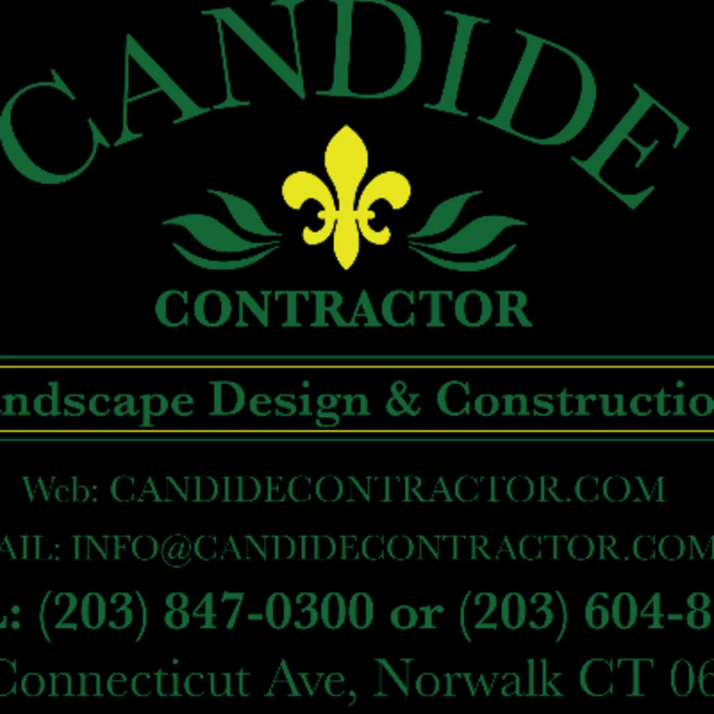 Candide Contractor