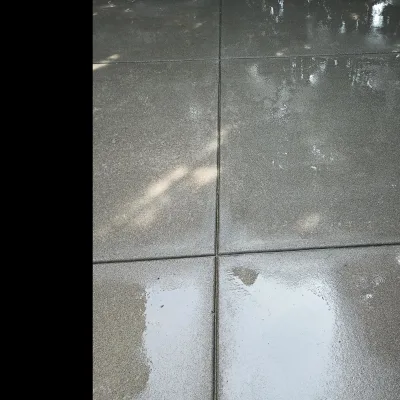T&W Exterior Services