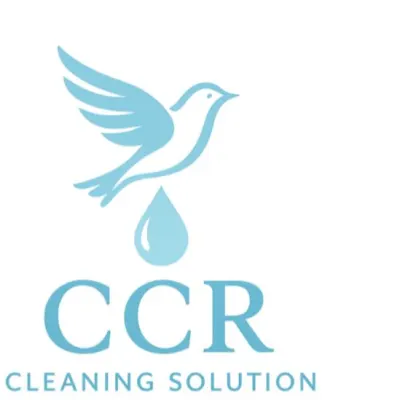 CCR Cleaning Solution 