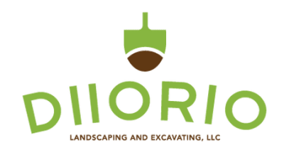 DIIORIO LANDSCAPING LLC