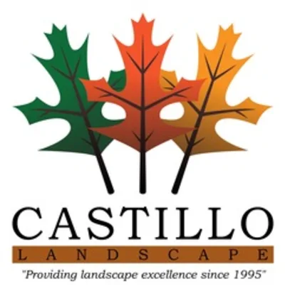 Castillo Landscape