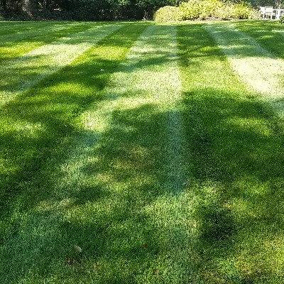 Miranda Landscaping
