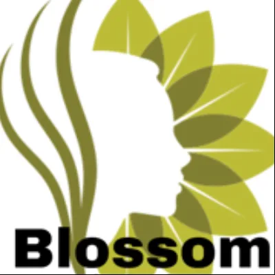 Blossom Salon And Spa Inc
