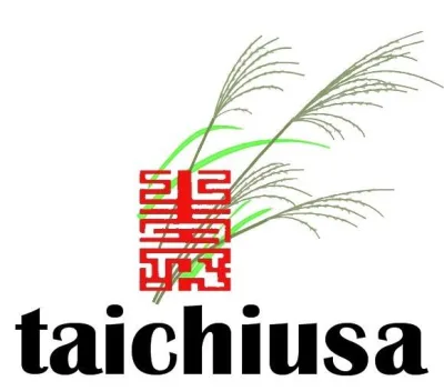 Tai Chi USA