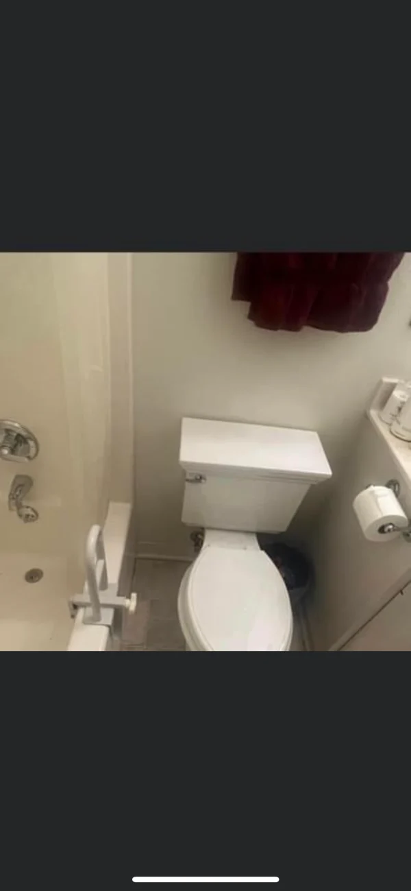 Replace toilet