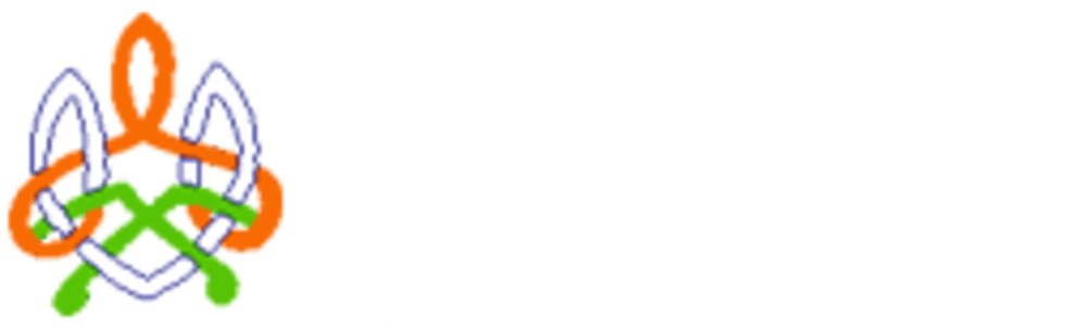 McCarthy School Of Irish Dance