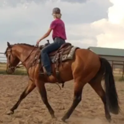 Dragon Riding Lesson