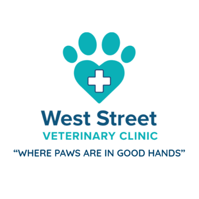 West Street Veterinary Clinic