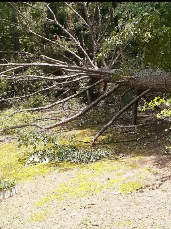 24 hour storm damage cleanup