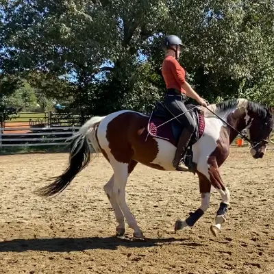 Riding With Faye
