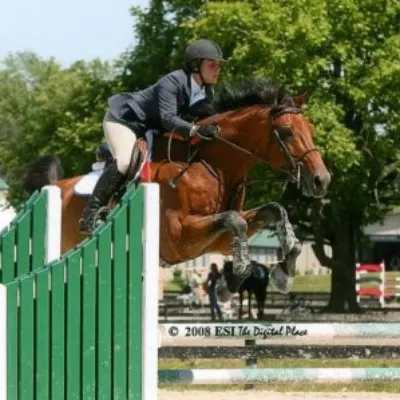 Cove Neck Equestrian