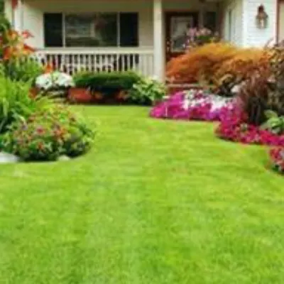 Leo Landscaping