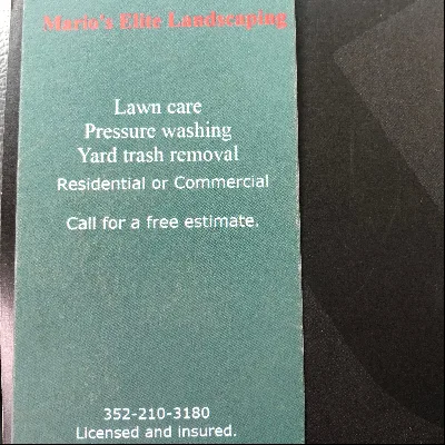 Mario Elite Landscaping