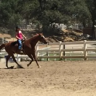 LB's Rock N Riding Ranch & Lessons