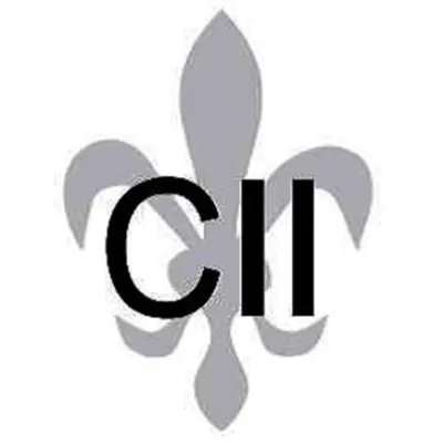 CII: Custom Interiors Inc.