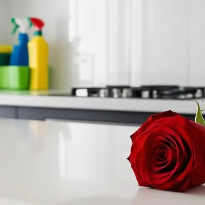 Royal Rose Clean