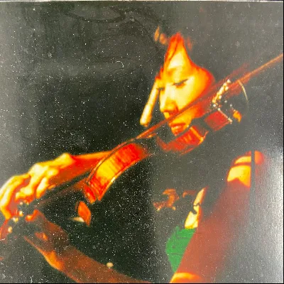 YB.Jo Suzuki Violin And Viola Studio.