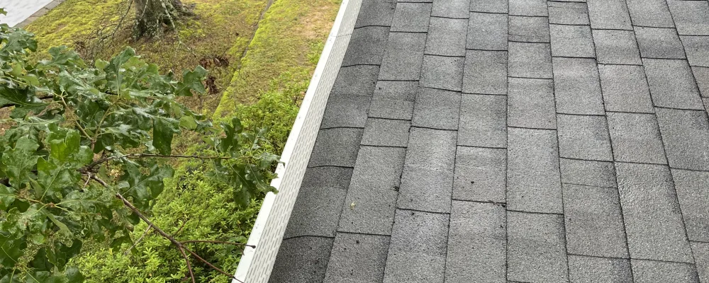 Gutter Guys Llc