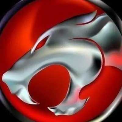 Thunderkat Services