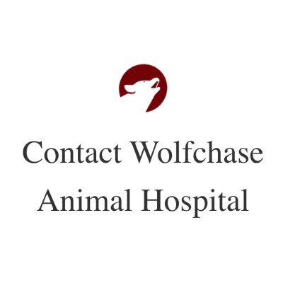 Wolfchase Animal Hospital