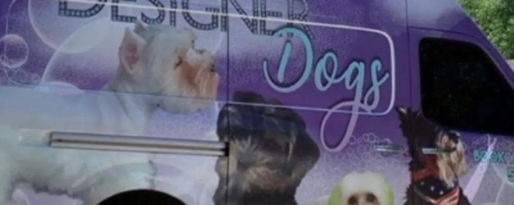 Designer Dogs