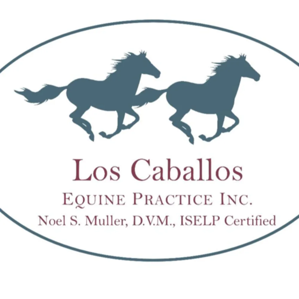 Los Caballos Equine Practice