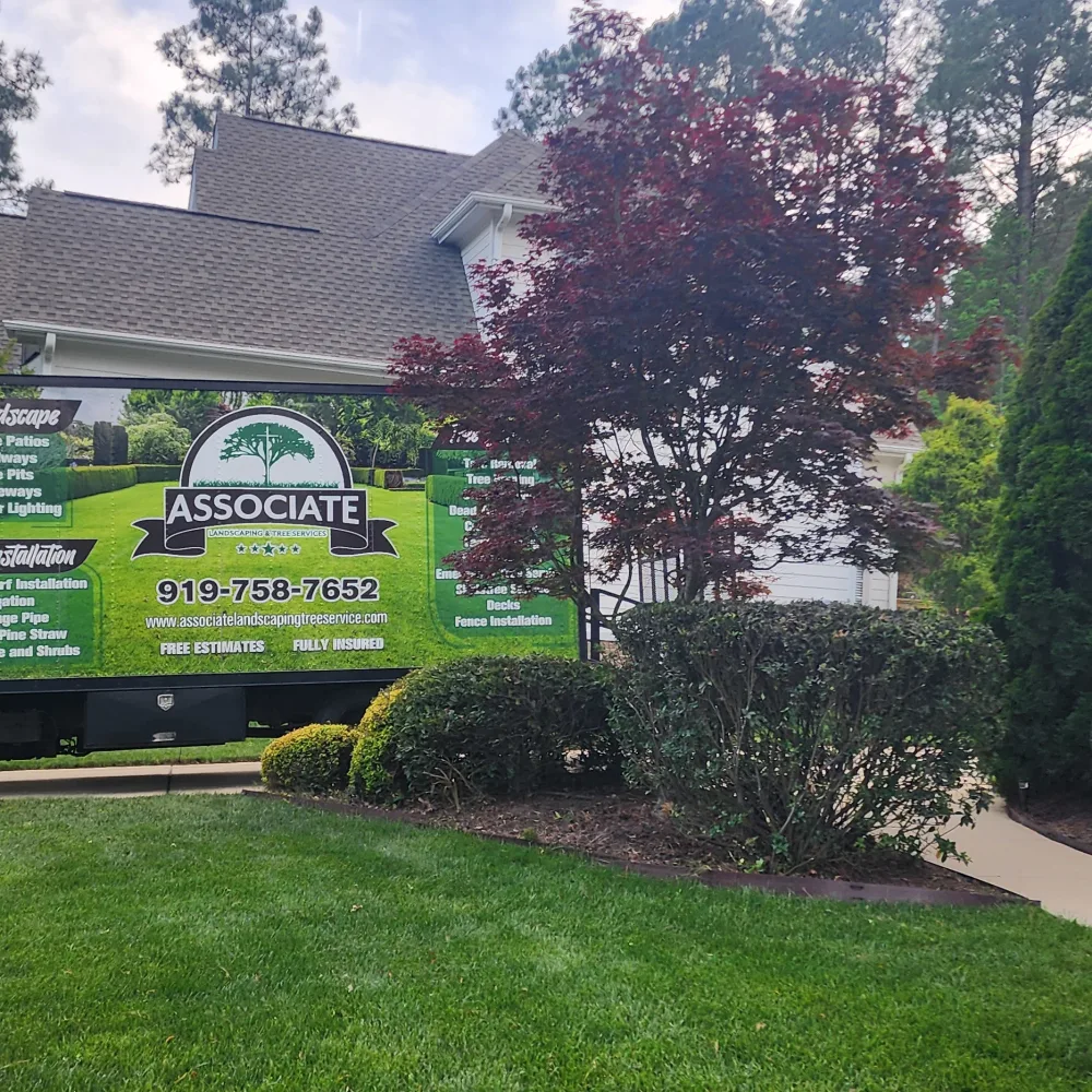 Associate Landsapinng & Tree Services LLC