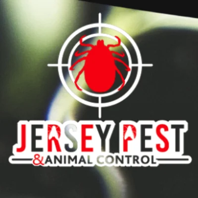 Jersey Pest And Animal Control