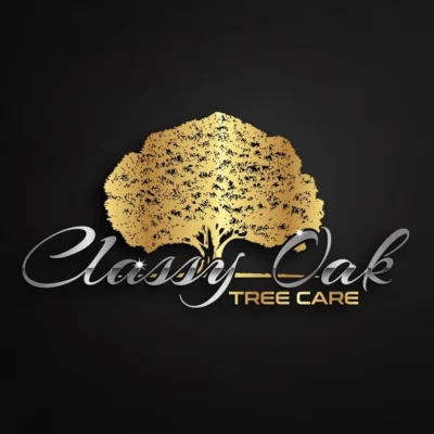 Classy Oak Tree Care