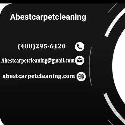 Carpet Cleaning By Alex