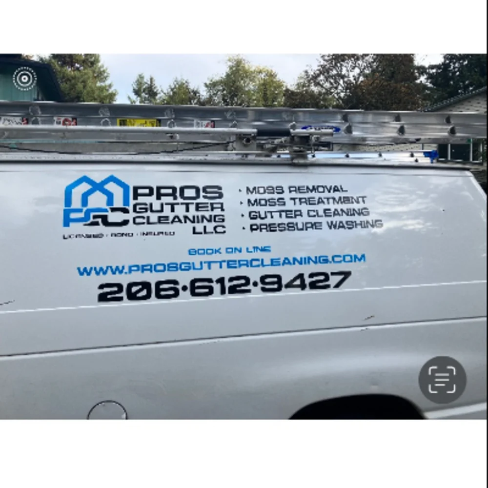 Pros Gutter Cleaning LLC