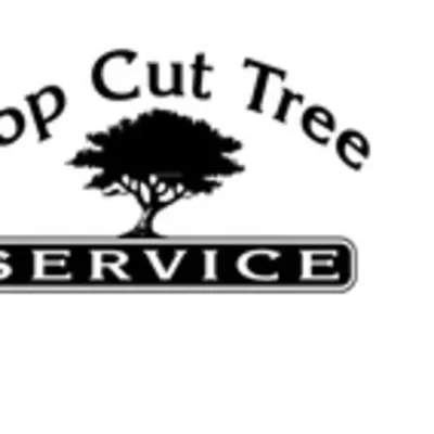 Top Cut Tree Service