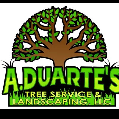 A Duarte's Tree Service And Landscaping 