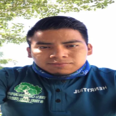 Henry Landscape & Tree Service