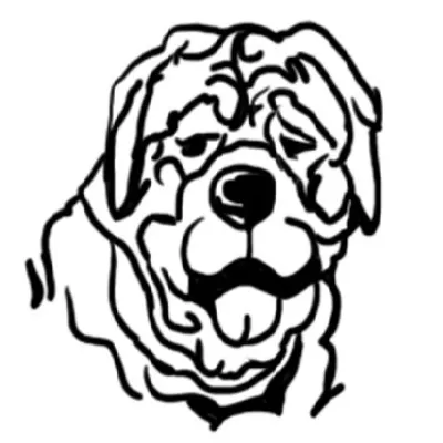 Rainbow Service Dogs Inc