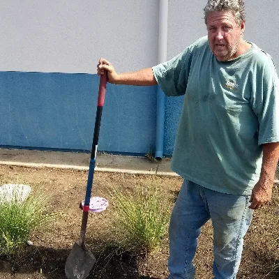 Tree To Green Landscape Co.