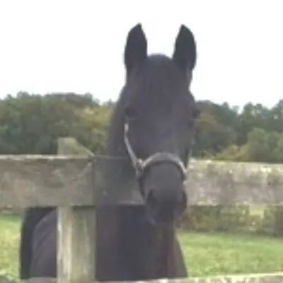 Hawkswood Farm