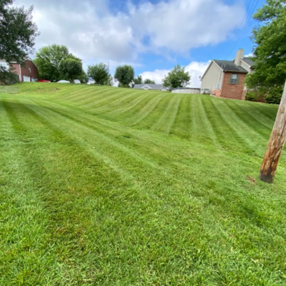 Rivera Landscaping