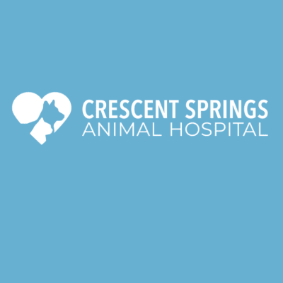 Crescent Springs Animal Hospital