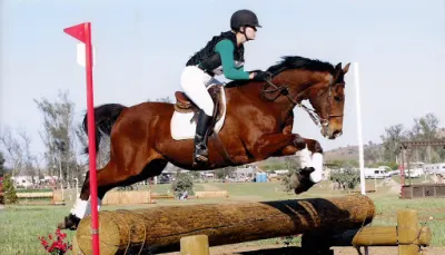 Dreamtime Sport Horses - Bethany Wallace