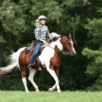 Camarillo Springs Ranch