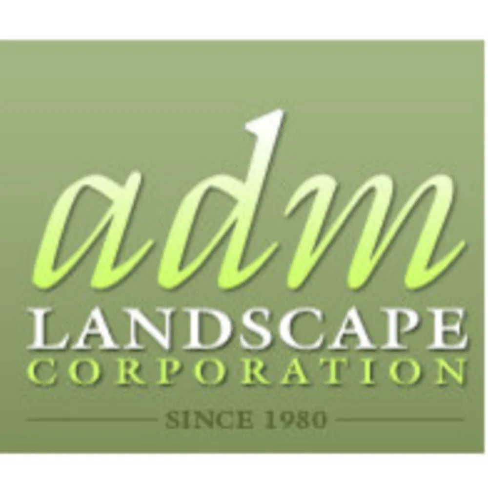 ADM Landscape