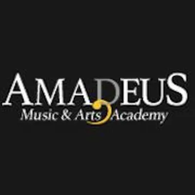 AMADEUS MUSIC AND ARTS ACADEMY