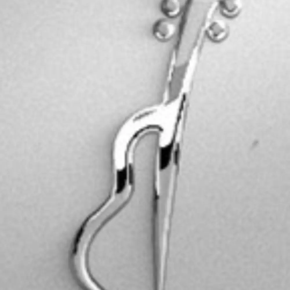 Paganini Institute Of Music & Dance