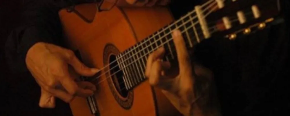 Cordero Flamenco